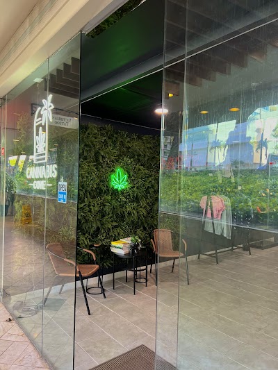 Cannabis Cove Hawaii