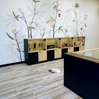 Cannabis Discounter Southport