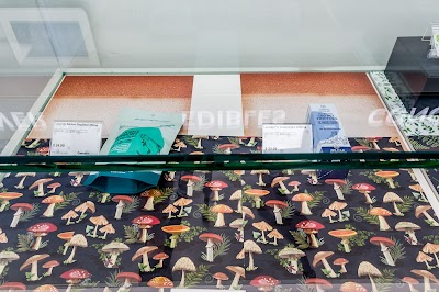 Cannabis Haven - Recreational Dispensary & Smoke and Vape