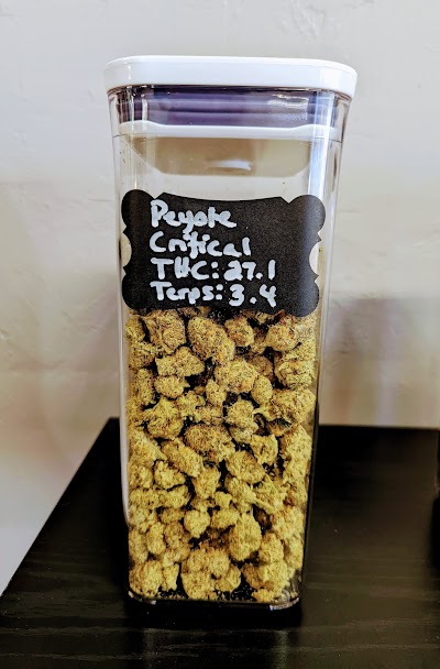 Cannabis Kingdom Dispensary