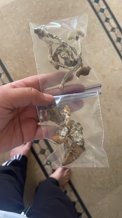 Cannabis MarketPlace