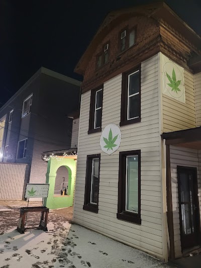 Cannabis Plus Store North