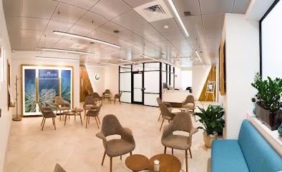 Cannabist Boston Dispensary