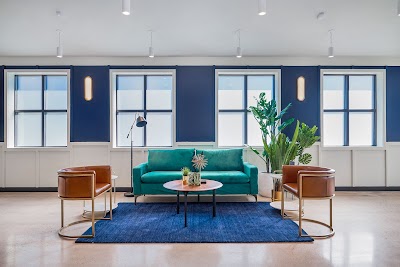 Cannabist Dispensary Williamsburg