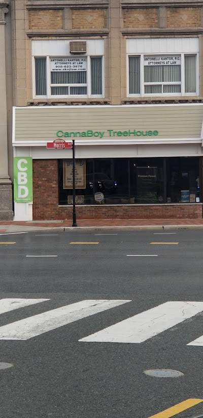 CannaBoy TreeHouse Dispensary