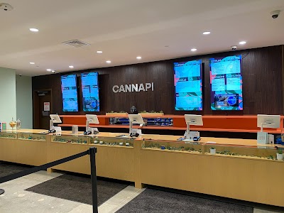 Cannapi Brockton Dispensary