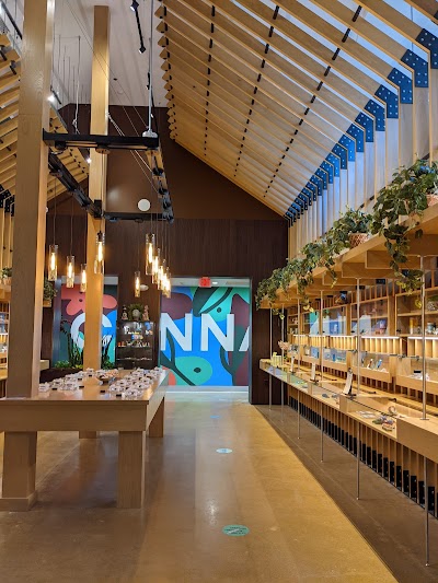 Cannapi Brockton Dispensary