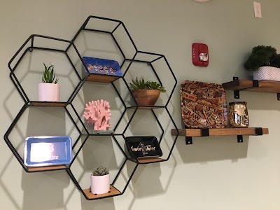 Cannapi Brockton Dispensary