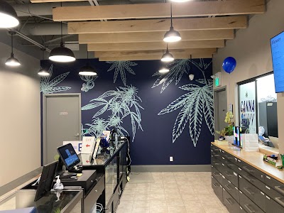 CannaSavvy Cannabis Co