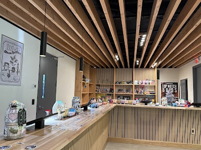 Cannavibes Dispensary Elmwood Park NJ