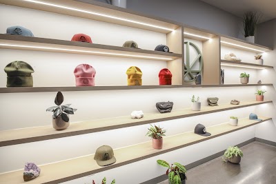 Cannavine Cannabis Dispensary