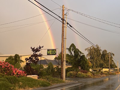 Cannazone Old Highway 99 Cannabis Dispensary