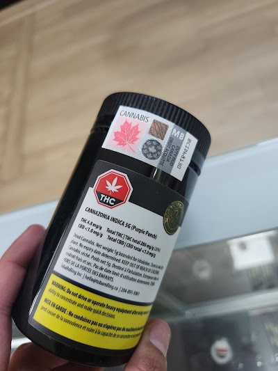 Cannazonia Cannabis and Vape Store (weed store)