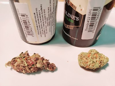 Caroline's Cannabis Hopedale Dispensary