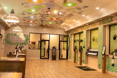 Casa Verde Wellness Recreational Cannabis Dispensary Dover
