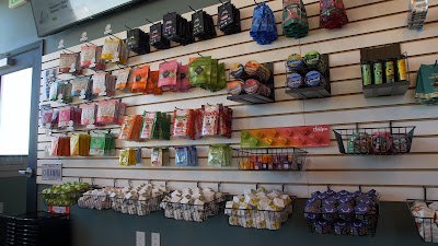 Catalyst Cannabis Daly City