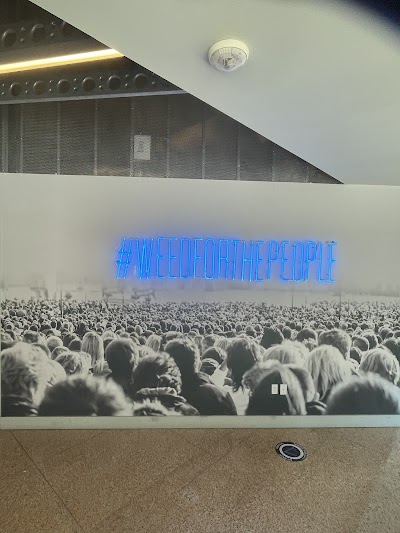 Catalyst Cannabis Dispensary Downtown Long Beach