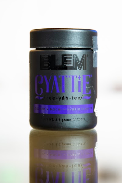 Catalyst Cannabis Dispensary Los Angeles Silver Lake