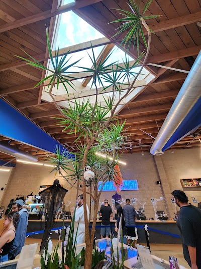 Catalyst Cannabis Dispensary Pomona