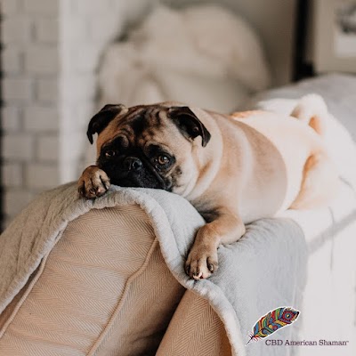 CBD American Shaman THC & Vape Dispensary