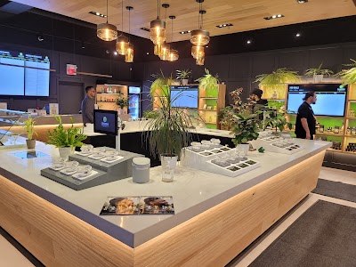 Chamba Cannabis Co | Cannabis Dispensary | Brampton