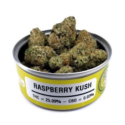 Champiñón Weed Delivery Dispensary Builder