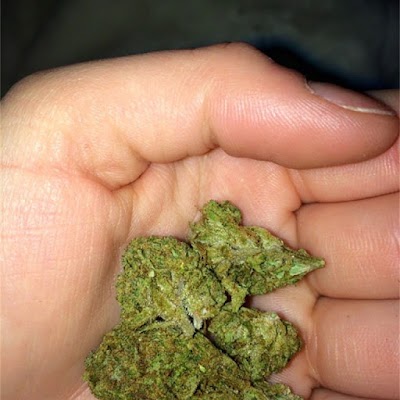 Champiñón Weed Delivery Dispensary Builder