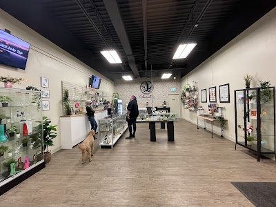 Character Co. Cannabis