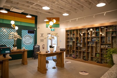 Cheeba Cheebas Premium Cannabis