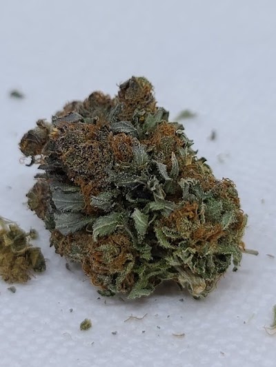 Cheech & Chong’s Dispensoria