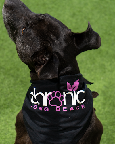 Chronic Long Beach Cannabis Dispensary