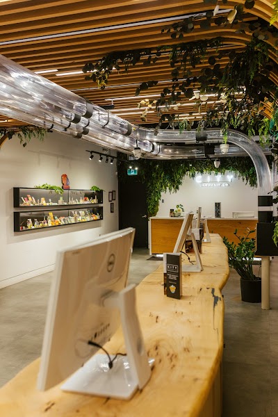 City Cannabis Co. Weed Store