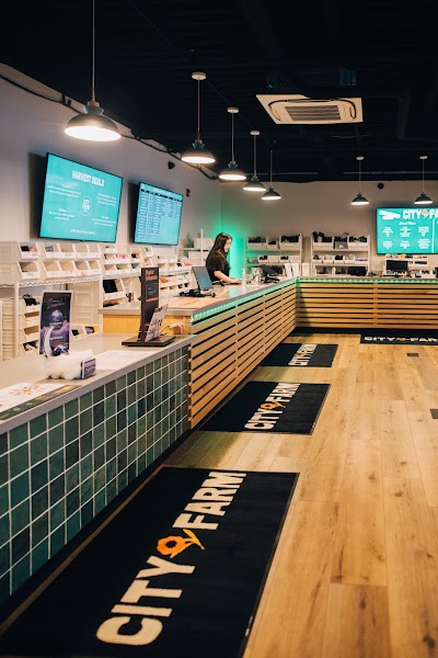 City Farm Roslindale Weed Dispensary