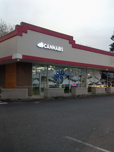 Cloud 9 Cannabis Co.