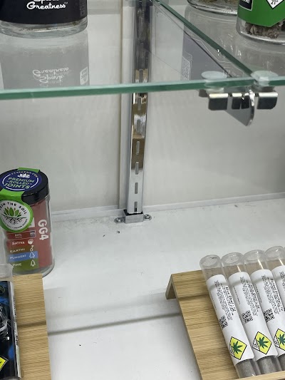 Cloud 9 Cannabis Co.