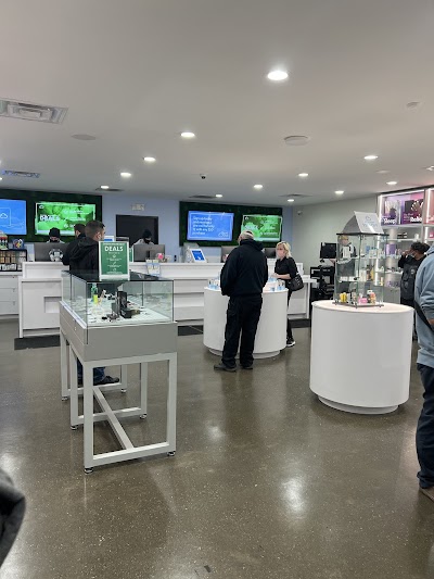 Cloud Cannabis Weed Dispensary Utica