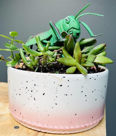 Cloud Haven Smoke Shop