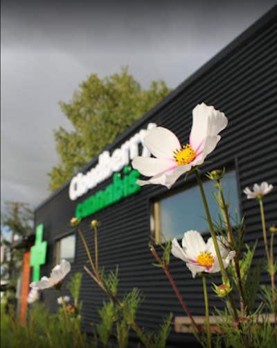 Cloudberry Cannabis Dispensary | Anchorage