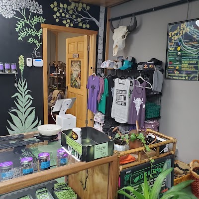 Collective Elevation