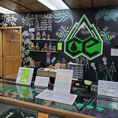 Collective Elevation