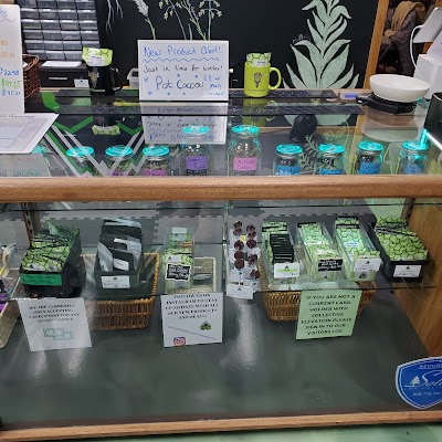 Collective Elevation