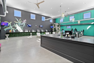 Collective Premium Cannabis Billerica