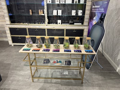 Commonwealth Alternative Care Brockton