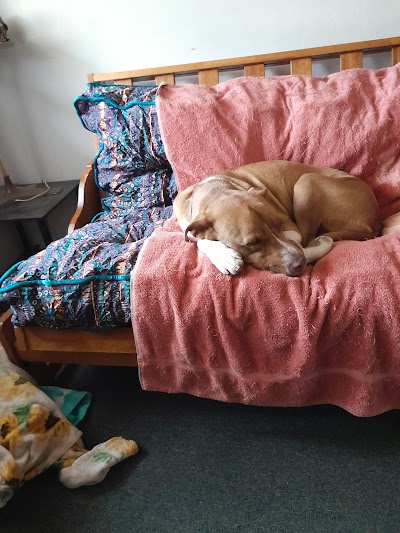 Consume Cannabis - Show Low