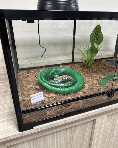 Cottonmouth Dispensary