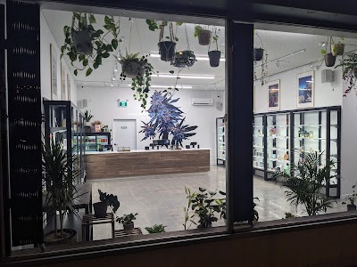 Craft Greenery Cannabis