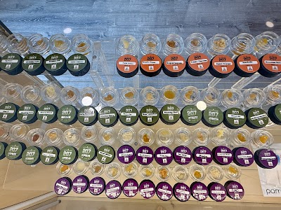 Cultivate 207 (Medical)