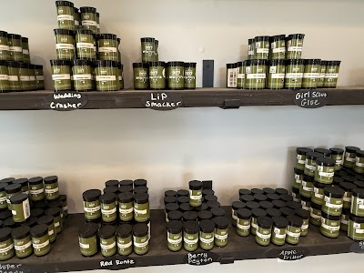 Cultivate 207 (Medical)