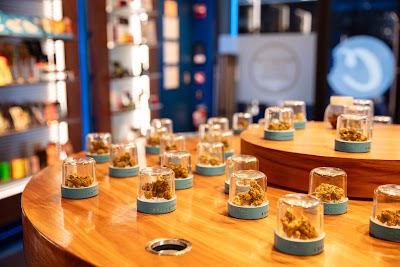 Culture House: NYC Licensed Cannabis Dispensary