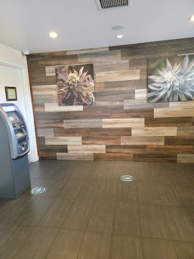 Curaleaf Dispensary Bell